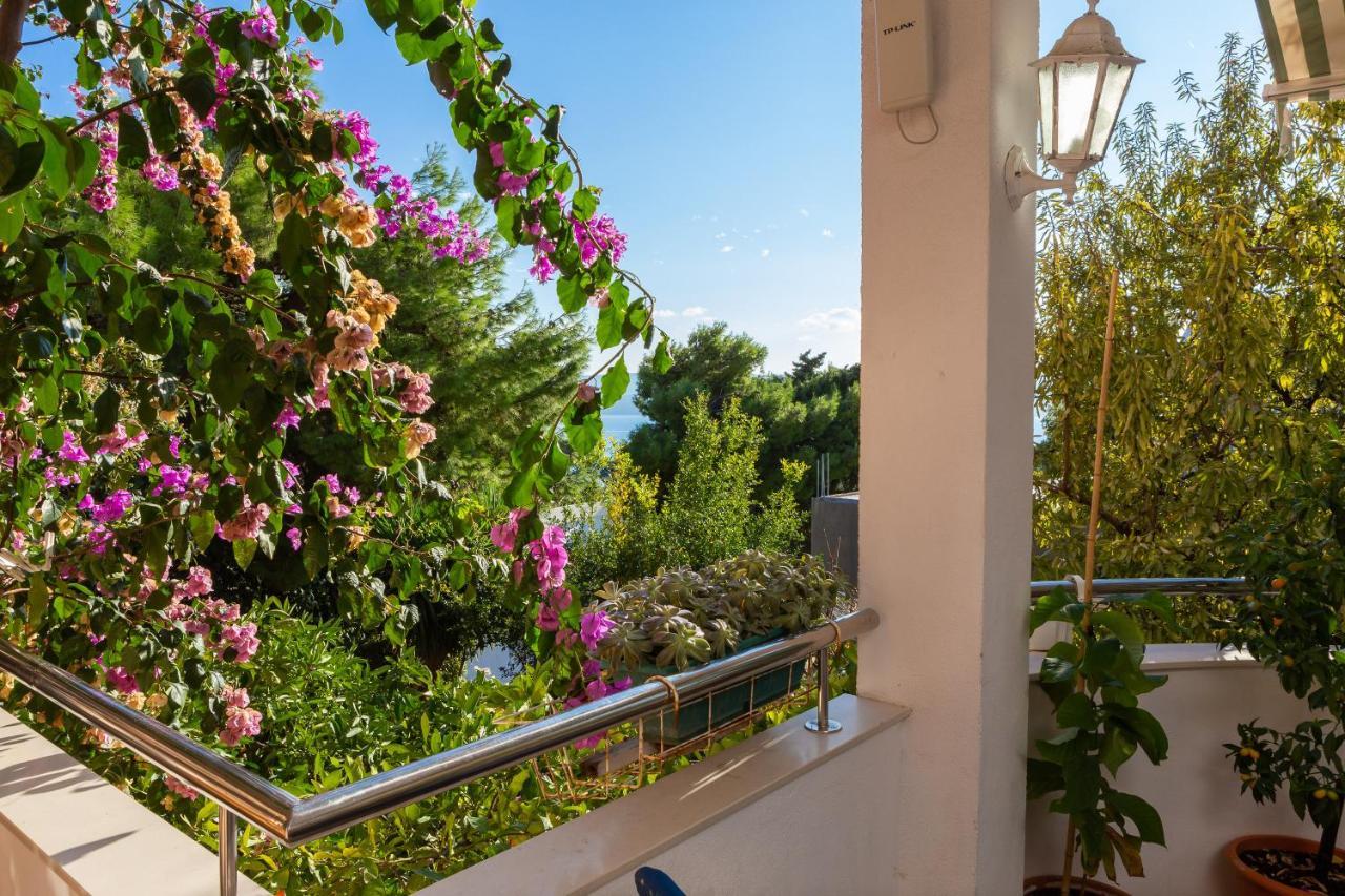 Villa Marko Stanici Esterno foto